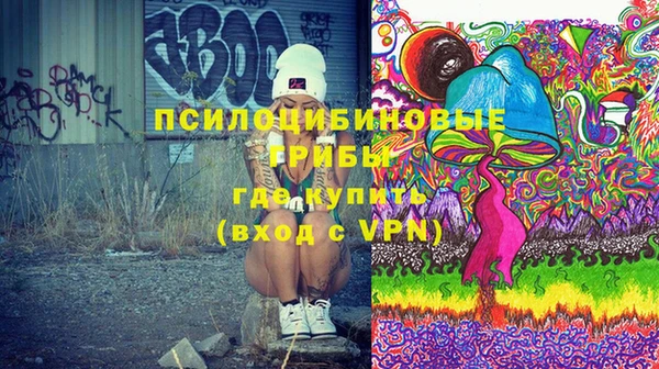 молекула духа Каменск-Шахтинский