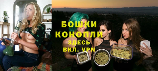 молекула духа Каменск-Шахтинский