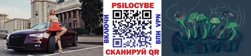 Купить где  Грязовец  Галлюциногенные грибы Cubensis 